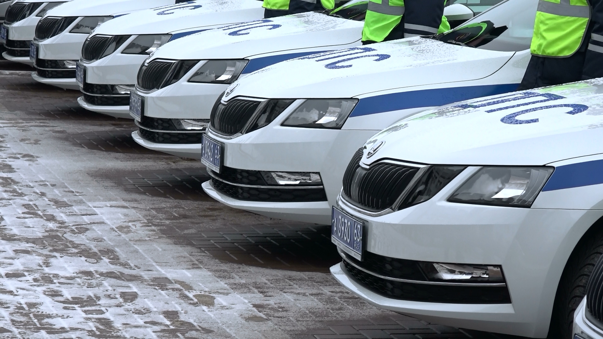 Скат авто дунайский